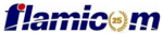 Statia ITP Flamicom Impex, Pitesti, Argeş